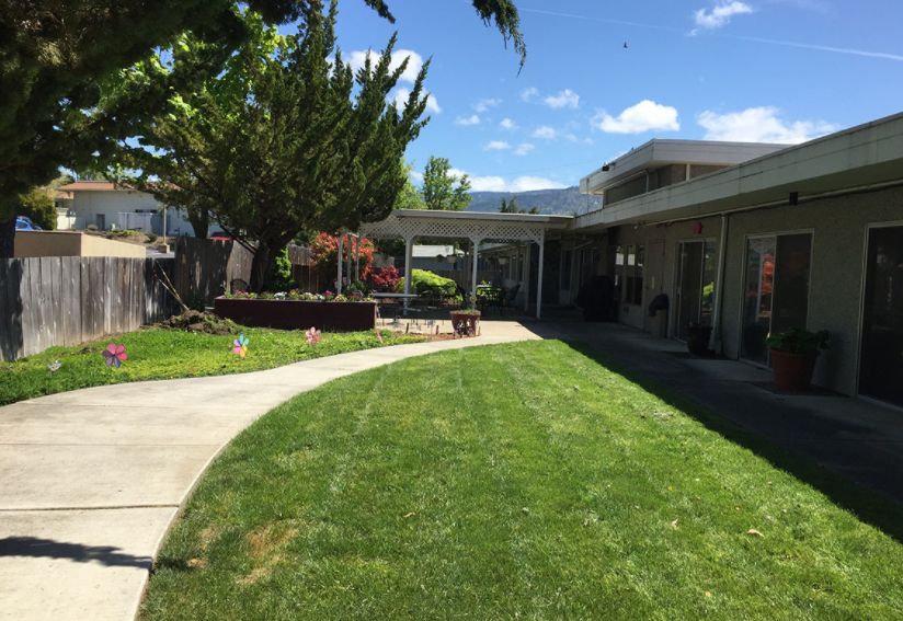 A sunny garden with a curved pathway and well-maintained lawn.