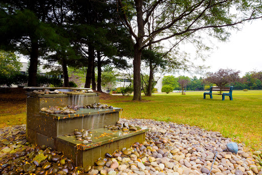 A serene outdoor space featuring a gentle fountain, surrounded by lush trees and colorful stones.
