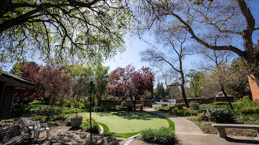 A serene park scene featuring vibrant greenery and blooming trees under a clear blue sky.