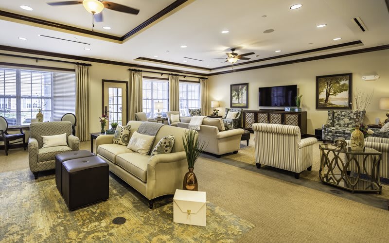 A spacious and elegantly decorated living room with comfortable sofas, a television, and tasteful decorations.