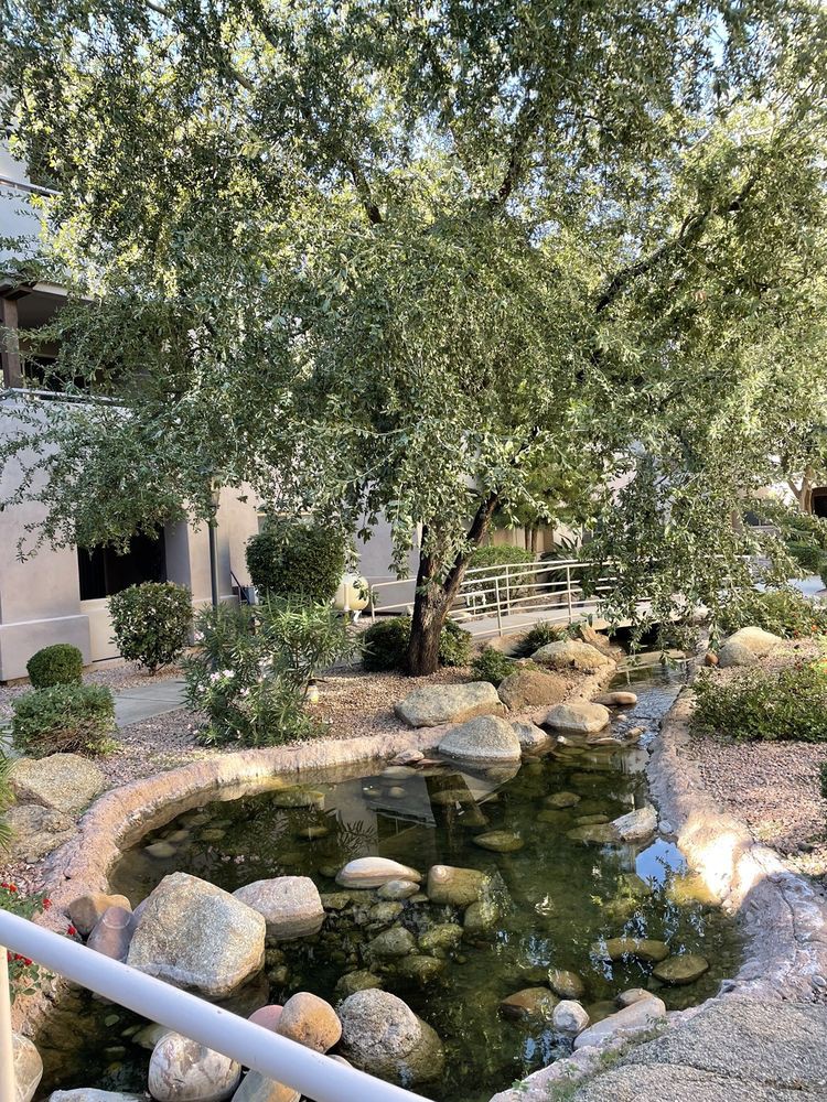 A tranquil garden featuring a pond surrounded by rocks and lush greenery.