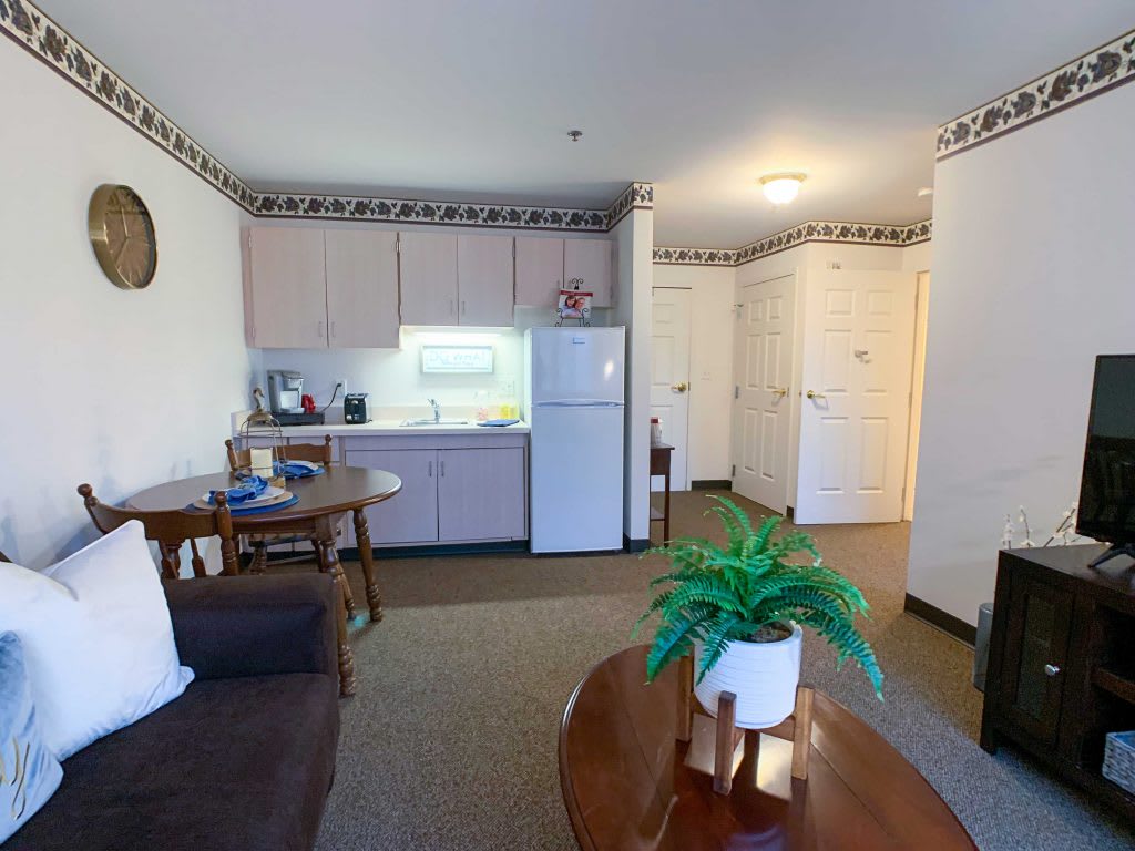 A cozy apartment living space with a kitchenette, sofa, and table with a plant.