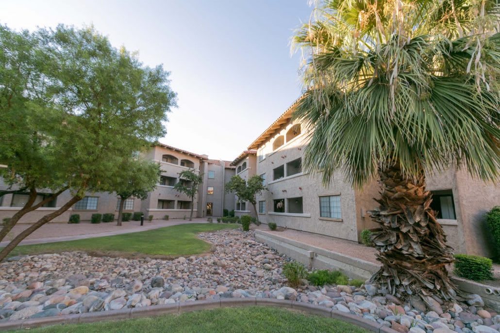 A well-maintained apartment complex with desert landscaping and palm trees.
