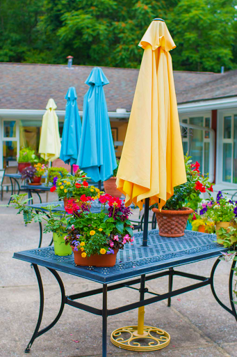 Gardens At York Terrace
