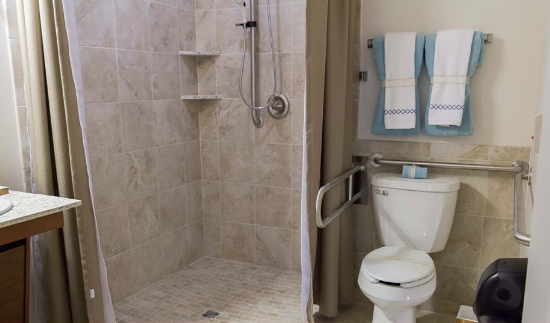 A modern bathroom featuring a walk-in shower and a toilet with grab bars.