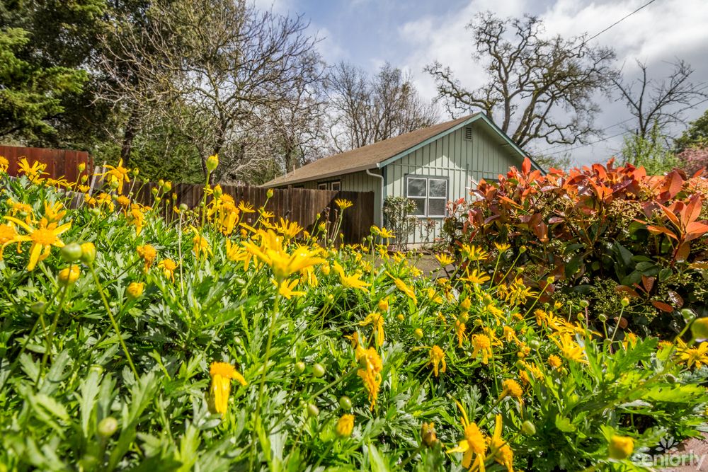 A charming cabin surrounded by a vibrant garden filled with yellow flowers.