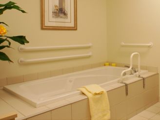 A bathroom featuring a bathtub equipped with safety rails, a yellow towel, and framed artwork on the wall.