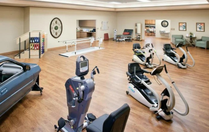 The Maples Health And Rehabilitation
