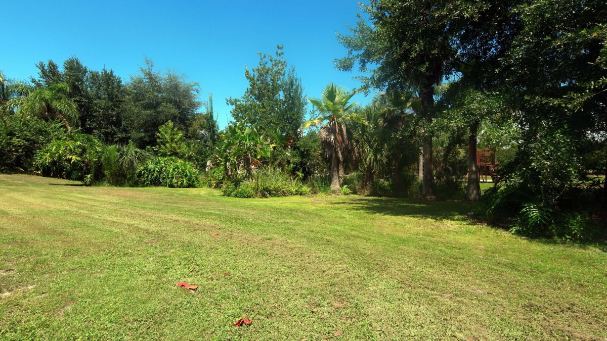A sunny day in a grassy area surrounded by trees.