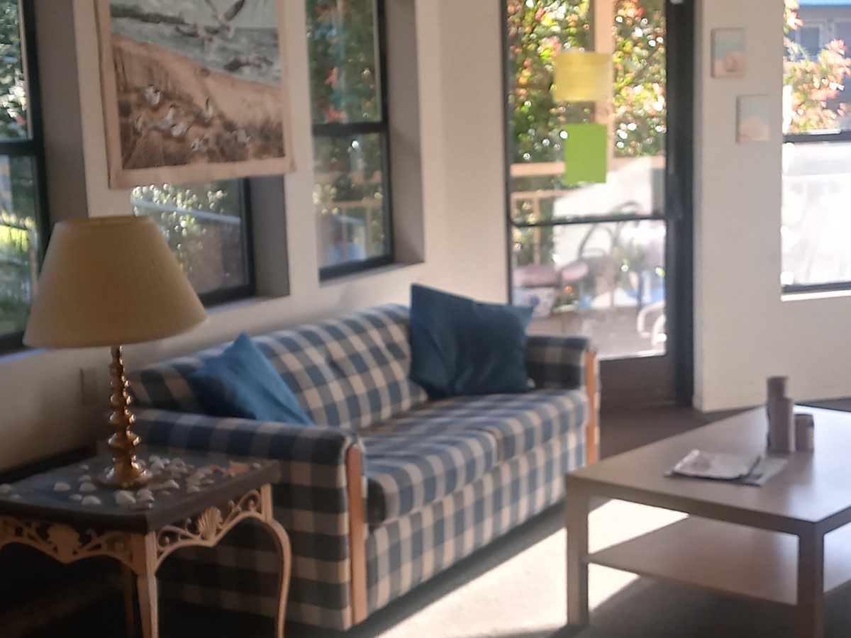 A cozy living room with a checkered sofa, blue cushions, and natural light streaming through the windows.