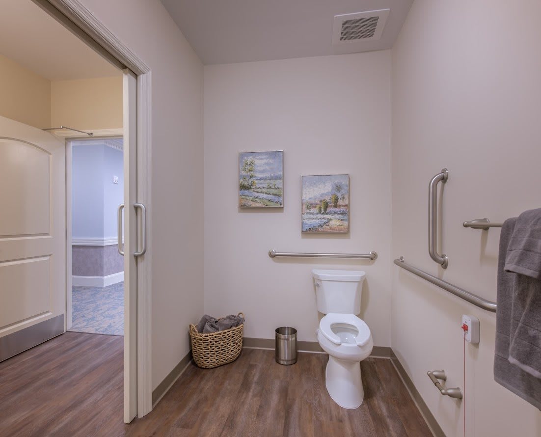 A modern bathroom featuring a toilet with accessibility grab bars, wood flooring, and decorative wall art.