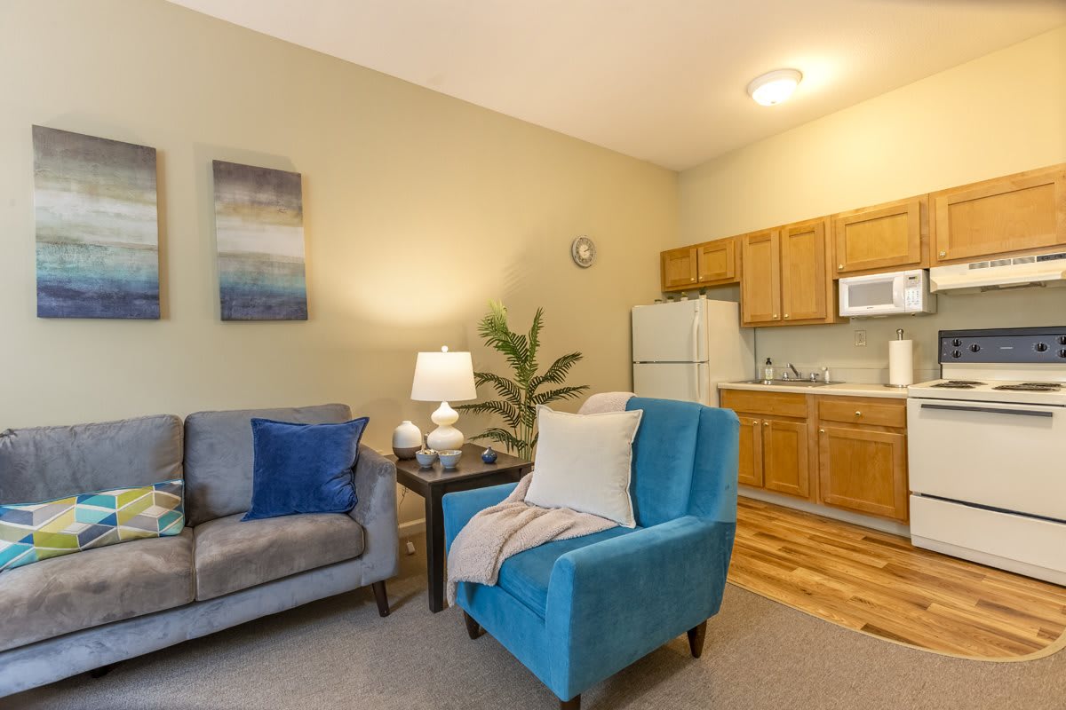 A cozy living area with a sofa, armchair, and a kitchenette.
