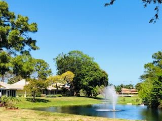 A scenic view of a pond with a fountain surrounded by lush trees and grass under a clear blue sky, with buildings in the background.