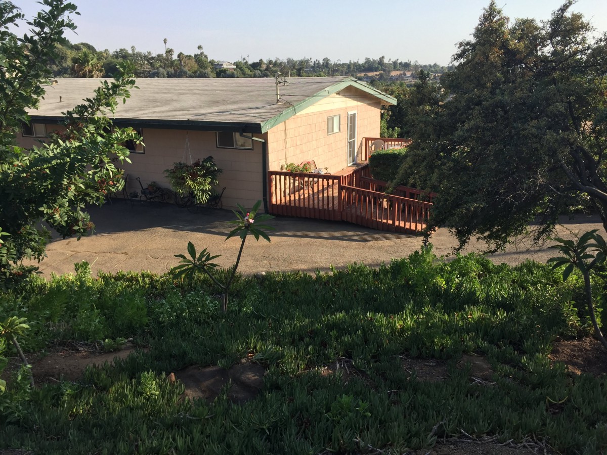 A single-story house with a driveway and surrounding greenery on a sunny day.