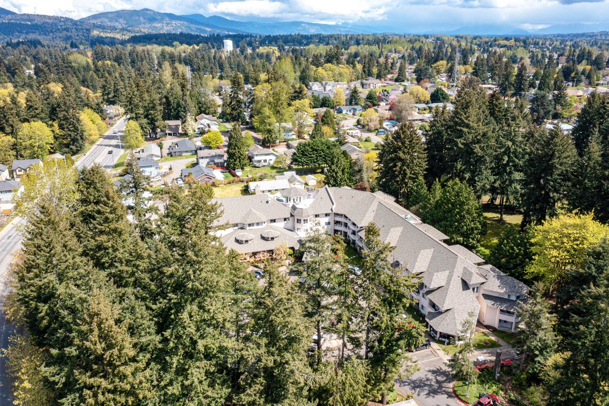 Aerial view of a town surrounded by dense trees and mountains in the background.