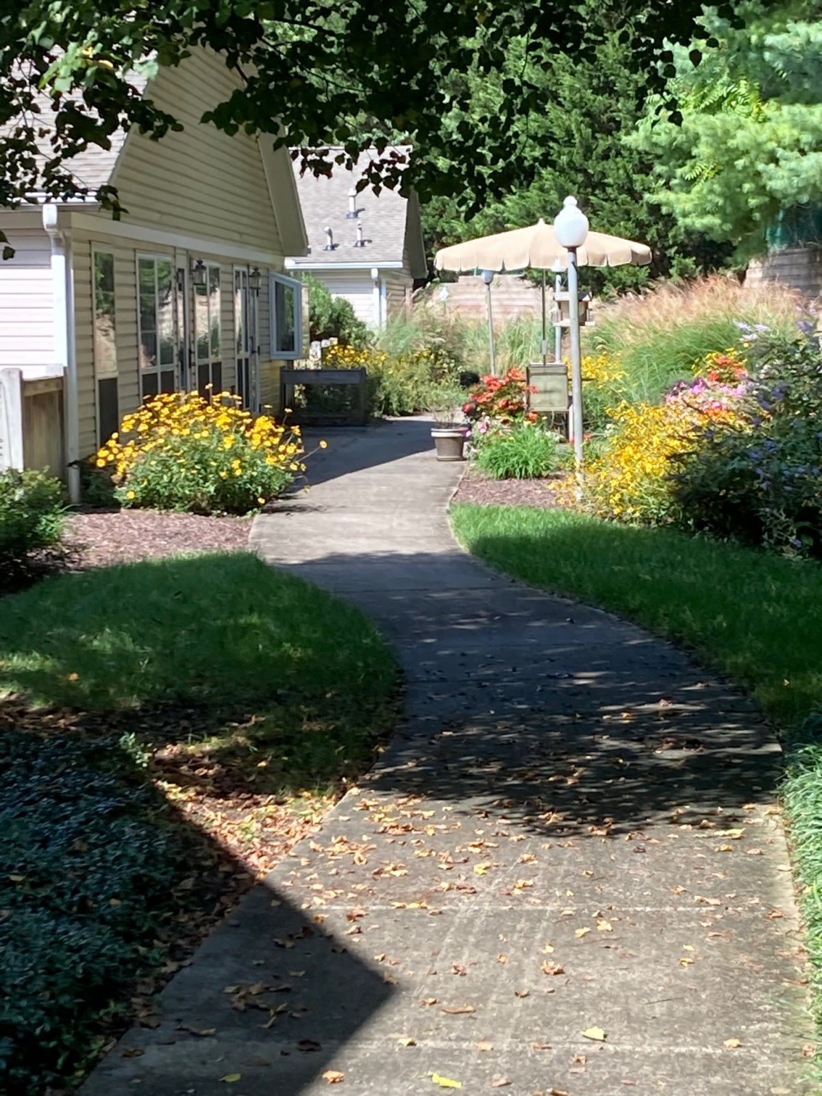 A scenic garden pathway surrounded by vibrant flowers and lush greenery.