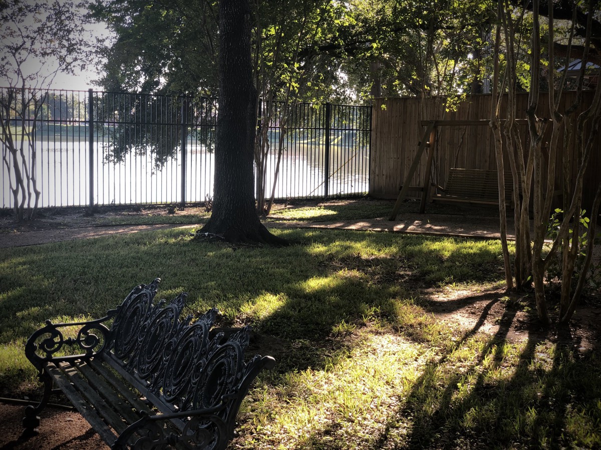 A peaceful garden scene with a bench, trees, and sunlight casting shadows on the grass.