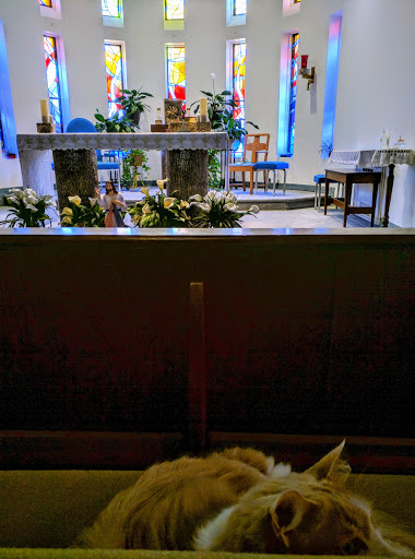 A serene view of the church interior, featuring a beautifully decorated altar and colorful stained glass windows.