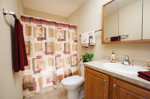 A well-appointed bathroom featuring a toilet, sink with wooden cabinetry, decorative plant, and patterned shower curtain.