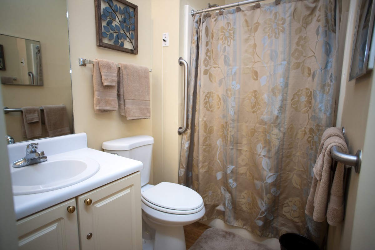 A small bathroom with a toilet, sink, and patterned shower curtain.