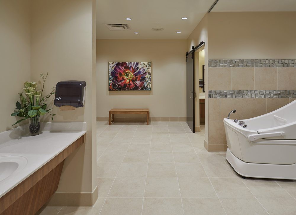 A luxurious and modern bathroom with a spa-like atmosphere, featuring elegant decor and a large bathtub.