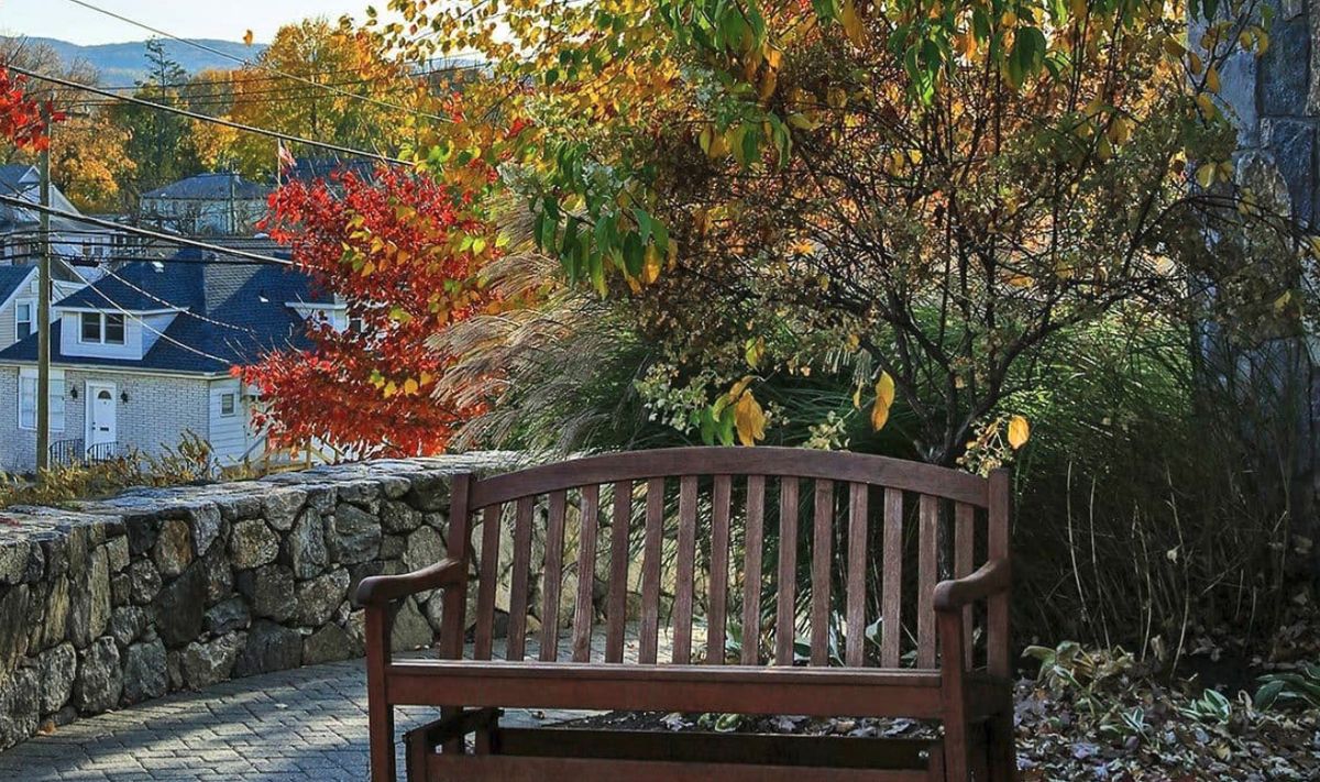 A wooden bench surrounded by colorful autumn foliage in a serene park setting.