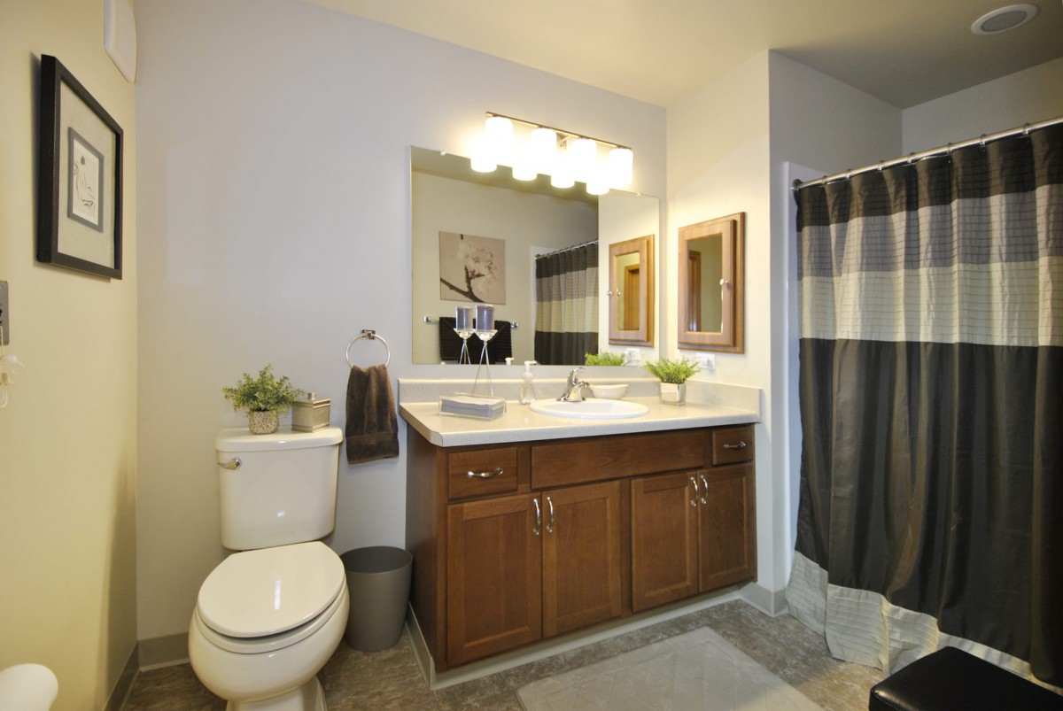 A well-organized bathroom with a wooden cabinet, large mirror, and decorative elements.