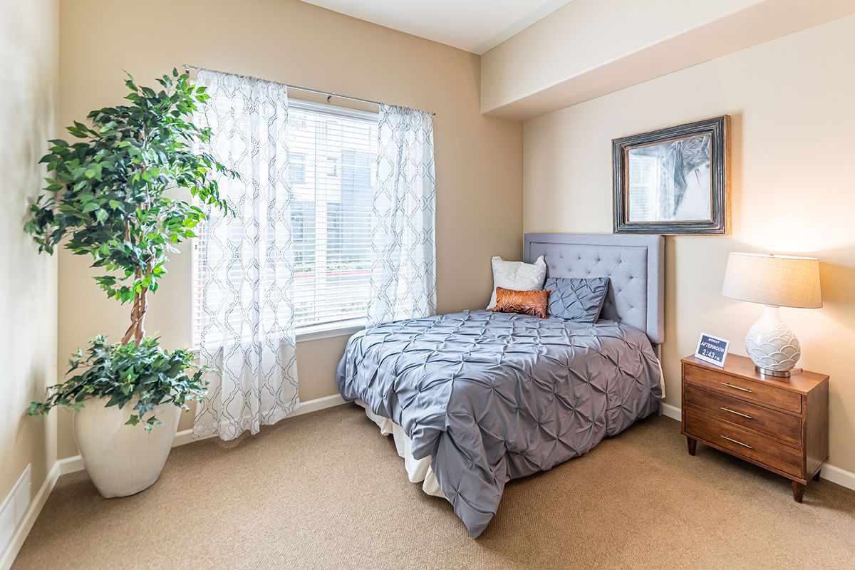 A cozy bedroom with a single bed, large window, and decorative elements.