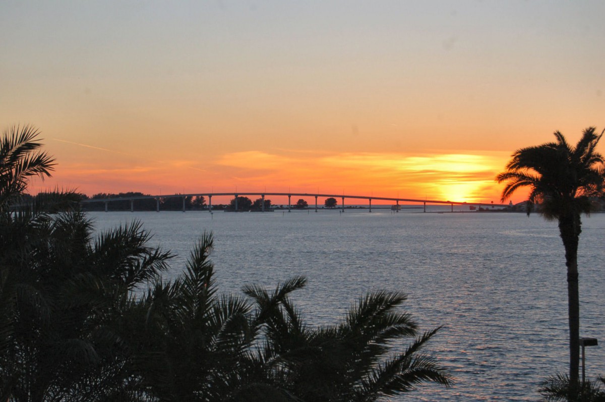 The Oaks Of Clearwater
