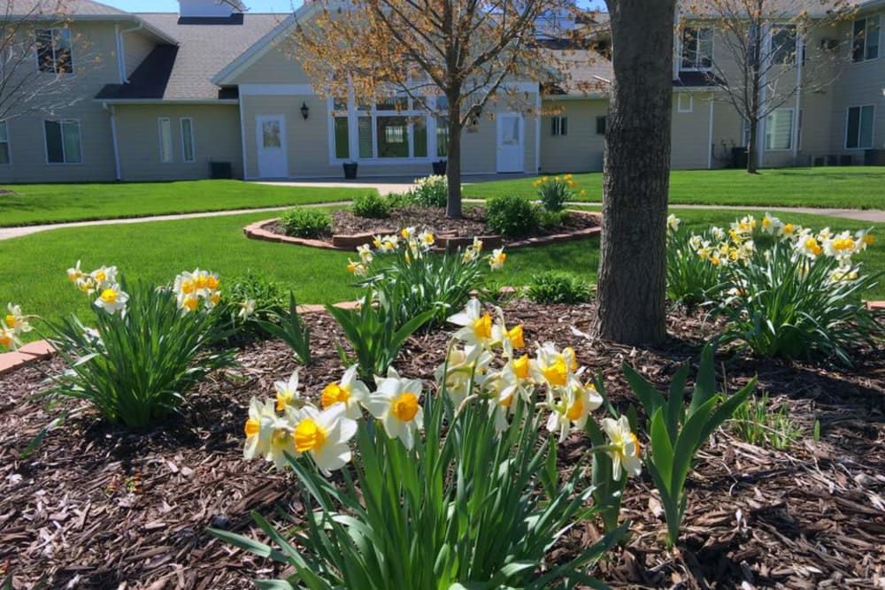 Meadow Ridge Senior Living
