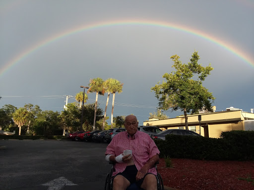 A serene moment captured under a vibrant rainbow, with an individual in a wheelchair enjoying the outdoors.