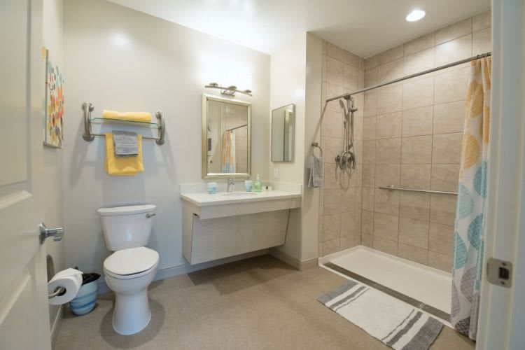 A modern bathroom with an accessible shower and neatly arranged amenities.