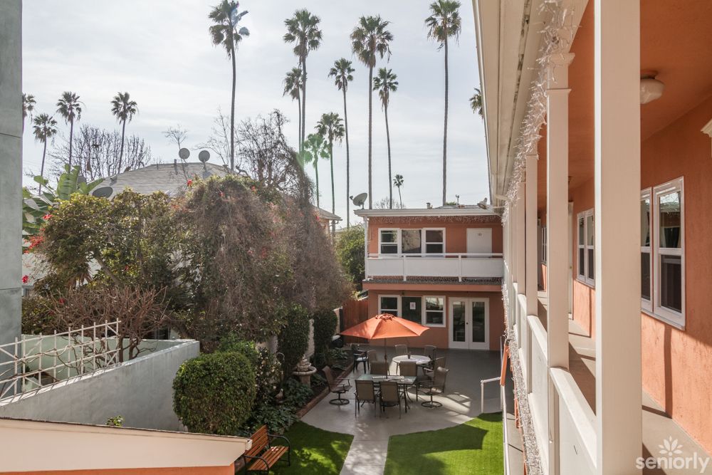 A sunny courtyard with palm trees and outdoor seating in a residential setting.