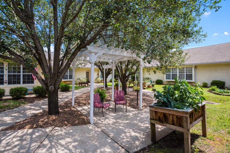 A serene garden setting featuring a pergola with two chairs underneath, surrounded by trees and greenery.