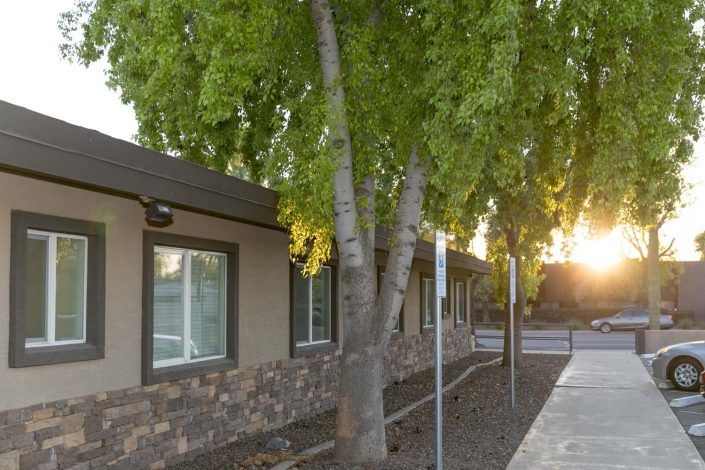 A building with large windows surrounded by greenery at sunset.