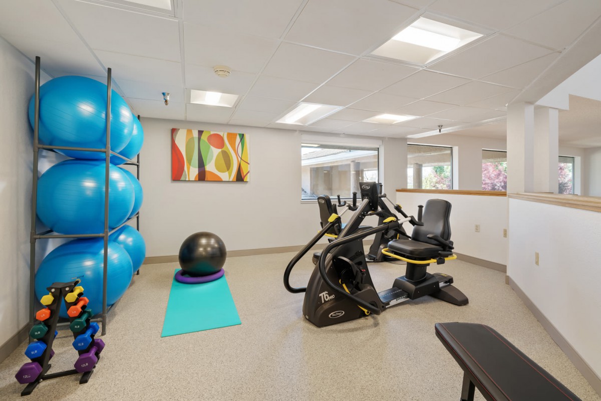 A modern gym space with exercise equipment and yoga balls.