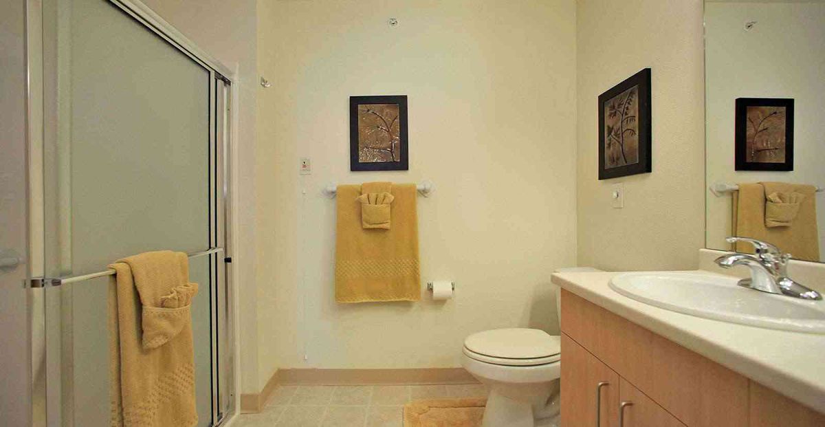 A clean and simple bathroom with a shower, toilet, and sink.