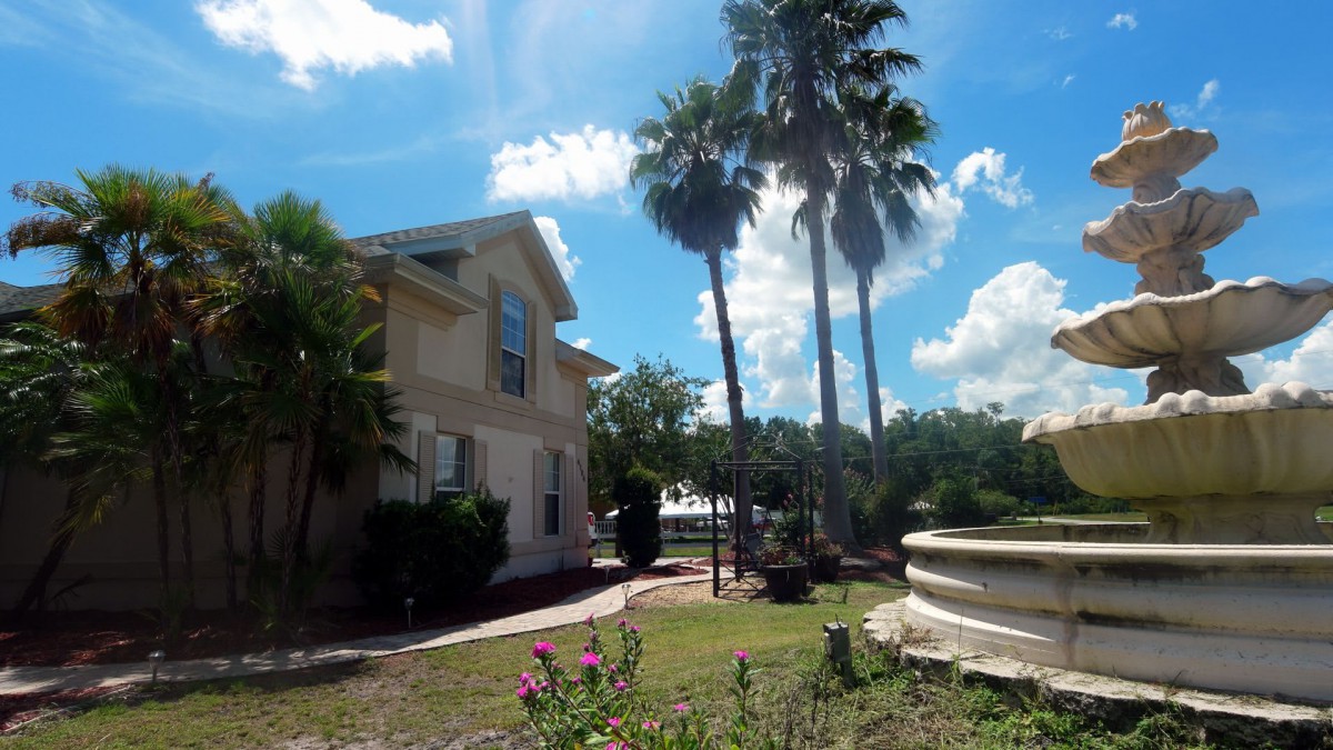 A sunny day view of a house with a garden and tall palm trees.
