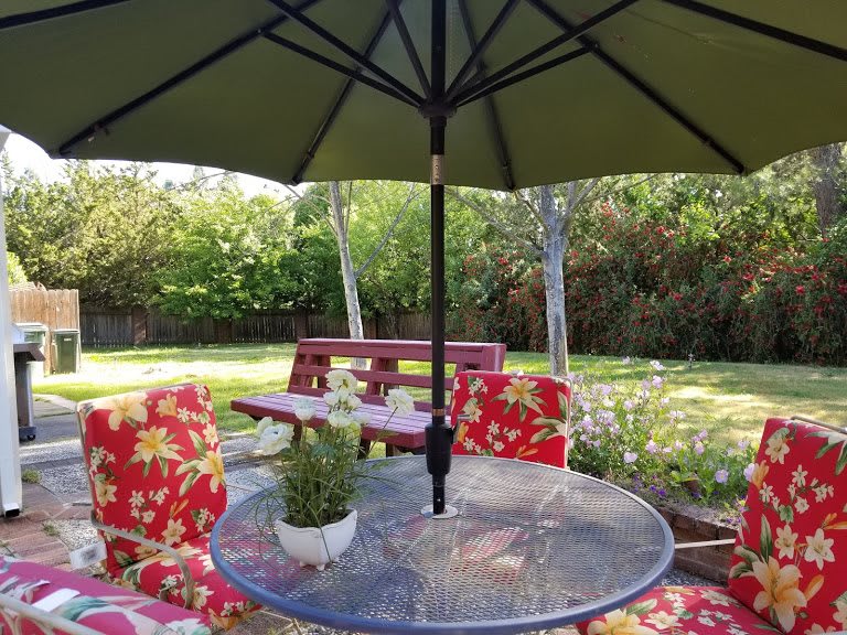A cozy outdoor patio setup with a table, umbrella, and floral-patterned chairs in a lush backyard.