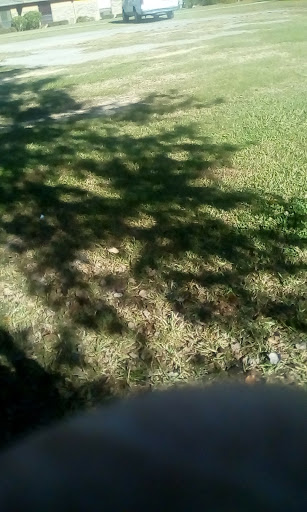 A patch of grass with shadows cast by trees creating a natural pattern.