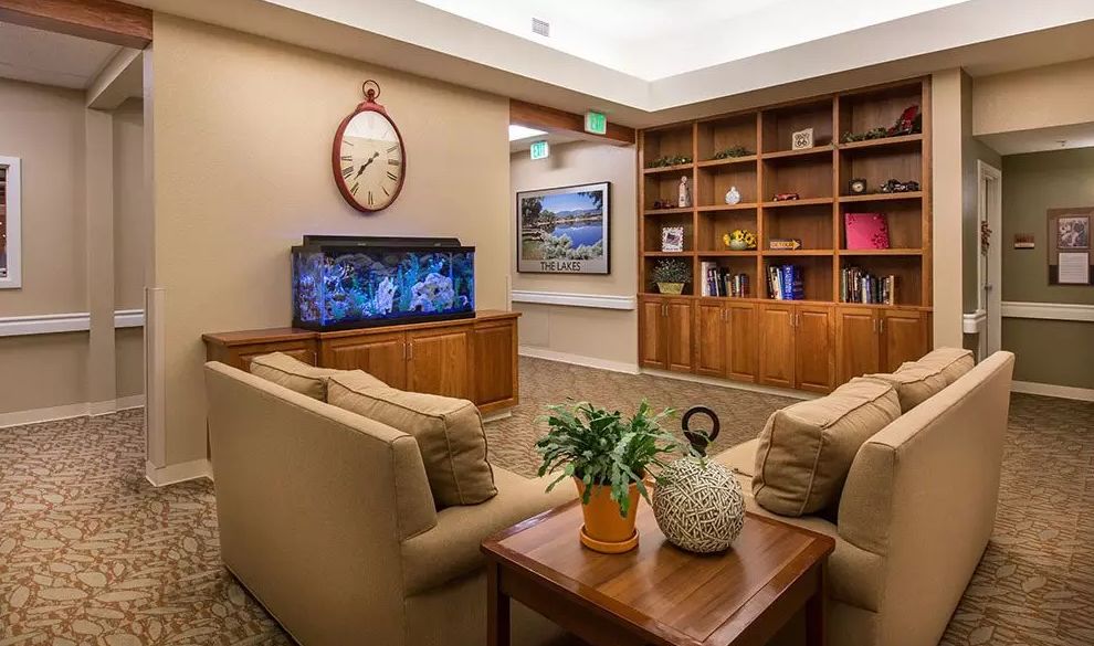 A cozy waiting room with comfortable seating, an aquarium, bookshelves, and indoor plants.