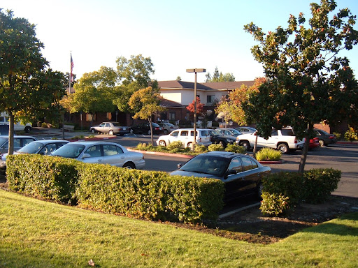 A view of a parking lot surrounded by greenery and a building in the background.