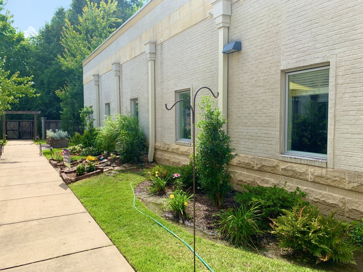 A landscaped garden area with greenery alongside a building on a sunny day.