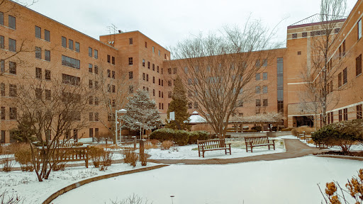 A serene winter scene featuring a residential building surrounded by snow-covered ground and bare trees.