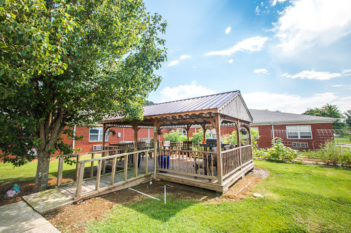 A cozy wooden pergola surrounded by lush greenery on a bright sunny day.