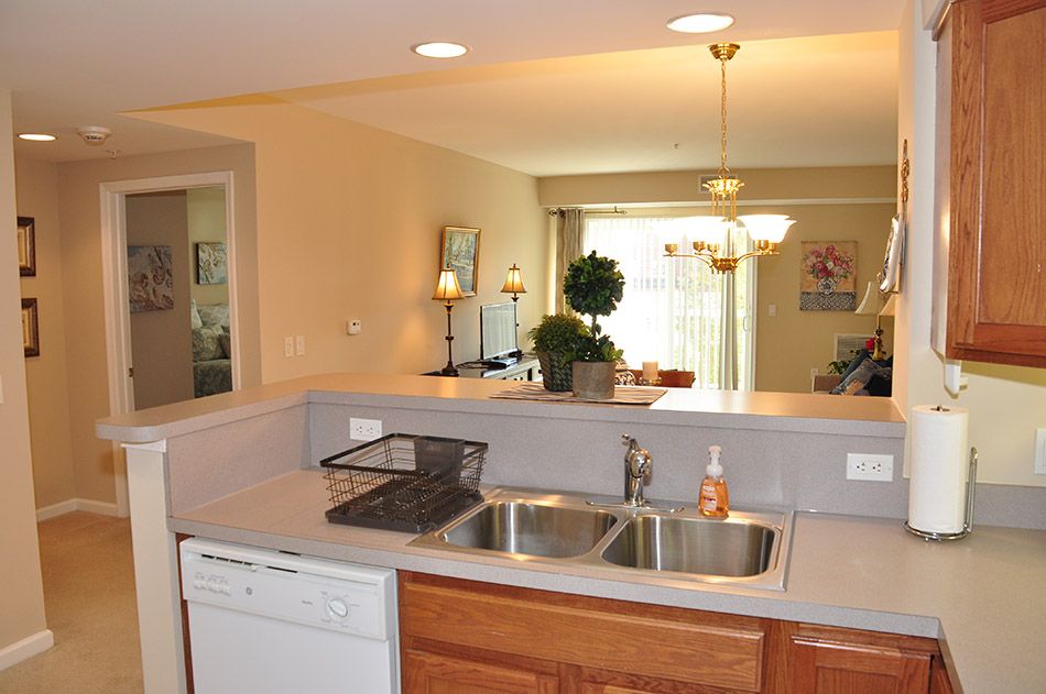 A modern kitchen with a double sink and countertop, featuring a dishwasher and decor accents.
