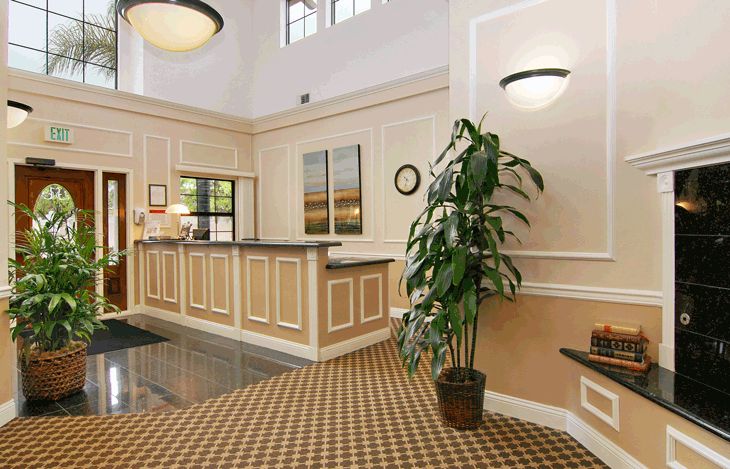 A welcoming hotel lobby featuring a reception desk, decorative plants, and stylish lighting.