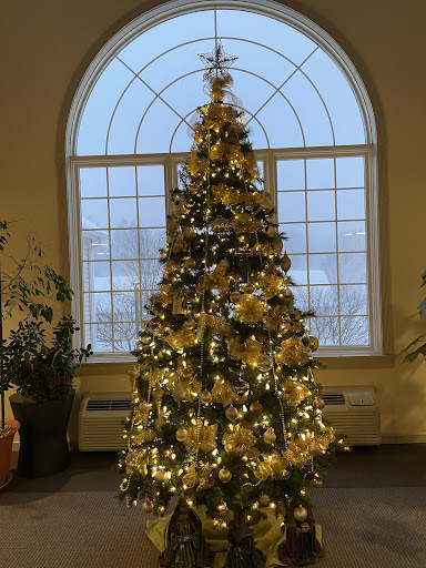 A beautifully decorated Christmas tree illuminated with warm lights, set against a large window.