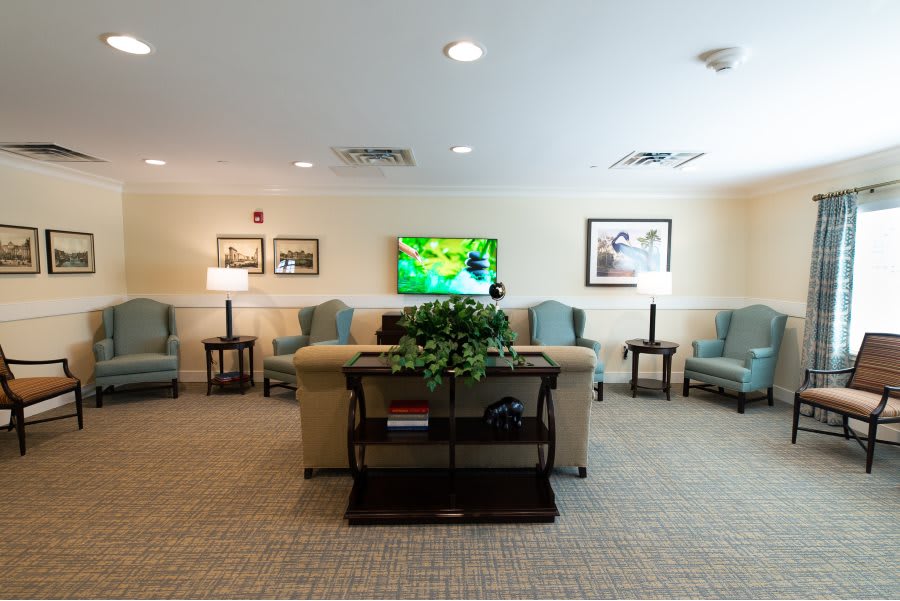 A cozy living room with a sofa, chairs, and a TV, complemented by tasteful decor and indoor plants.