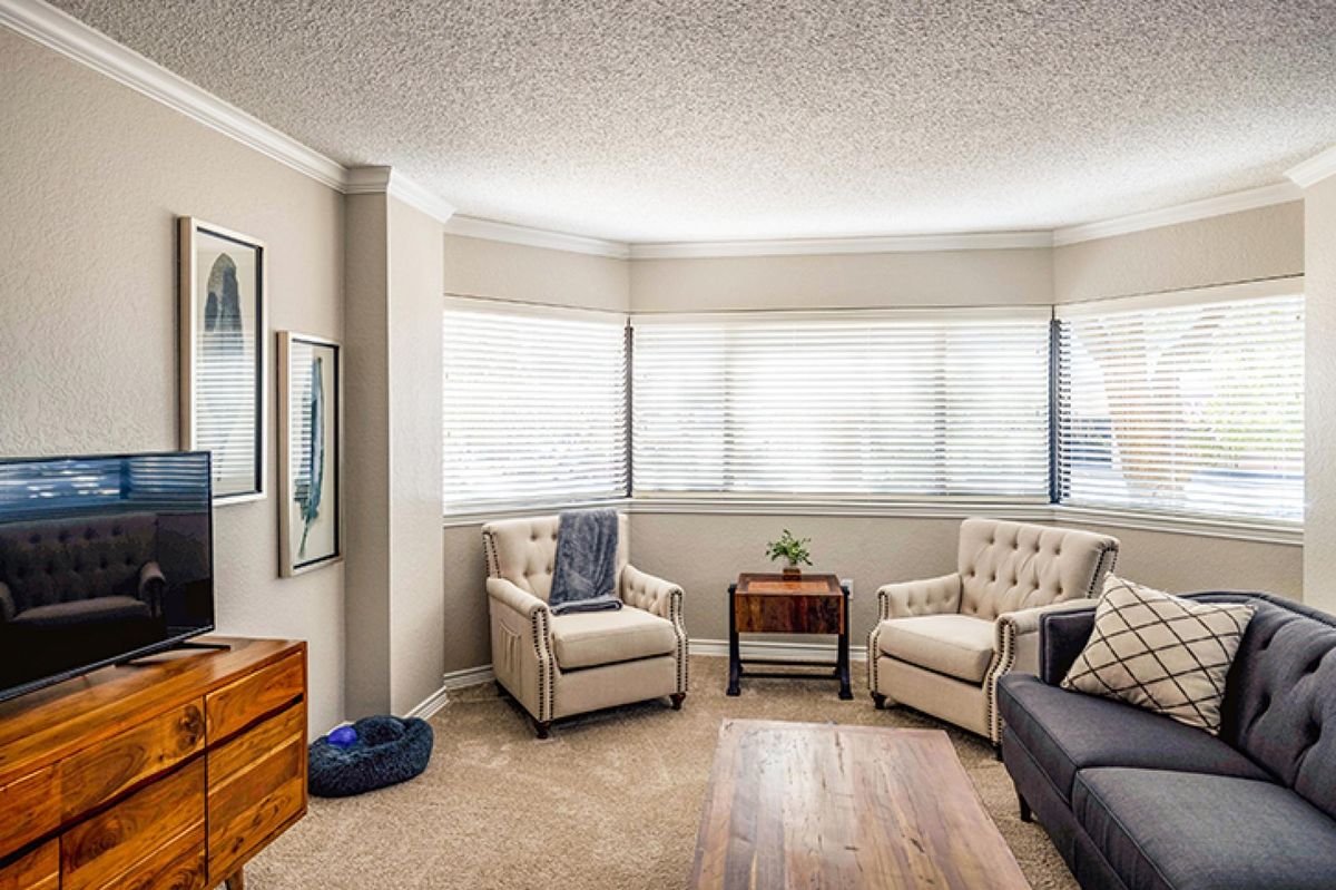 A cozy living room with armchairs, a coffee table, and plenty of natural light from the windows.